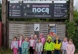 Motylki
