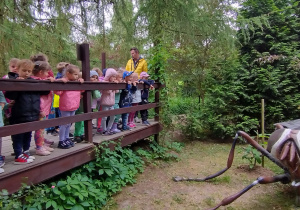 Przedszkolaki podziwiają muchę w ogromnej skali