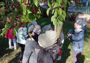 Krasnale badają drzewa w ogrodzie.