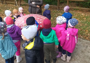 Dzieci oglądają wielkie grzyby.