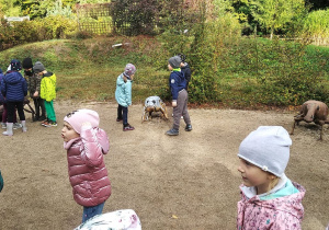 Dzieci słuchają opowieści o owadach.