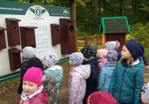 Smerfy słuchają opowieści o ptakach.