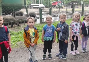 Biedronki i dziki..