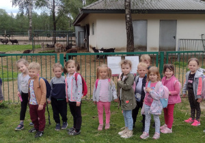 Motylki zwiedzają Mini Zoo.