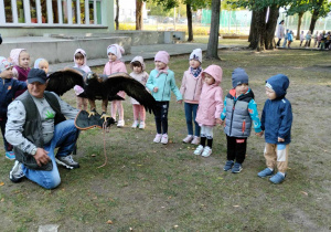 Motylki z Panem sokolnikiem