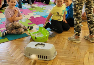 Podopieczni Kociej klitki w Słoneczkach