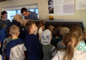 Dzieci obserwują filtracje wody.