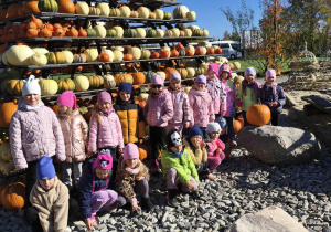 Słoneczka na farmie dyni