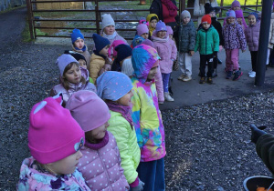 W oczekiwaniu na karmienie zwierząt