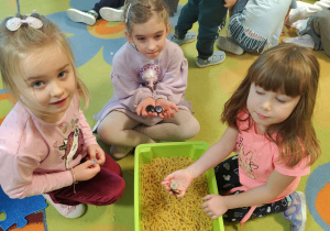 Biedronki odnalazły guzikowe skarby