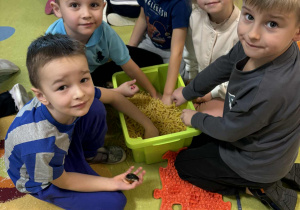 Smerfni poszukiwacze guzików