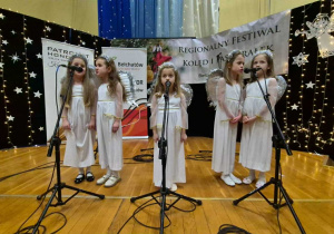 Zespół "Topolanie" na scenie