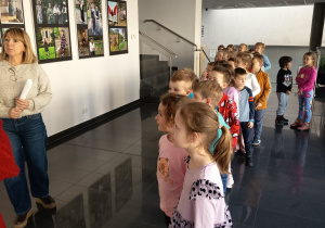 Słoneczka w Gigantach Mocy