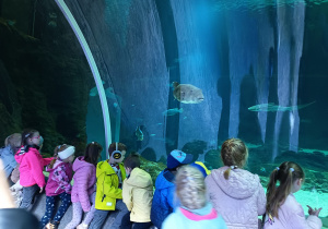 W oceanarium