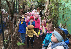 Zwiedzanie ZOO