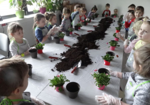 Dzieci sadzą kwiatki do doniczek.