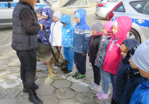 Dzieci oglądają psa policyjnego.
